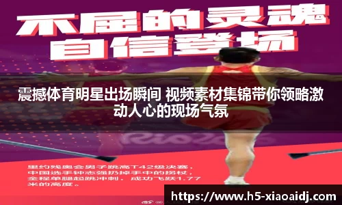 震撼体育明星出场瞬间 视频素材集锦带你领略激动人心的现场气氛